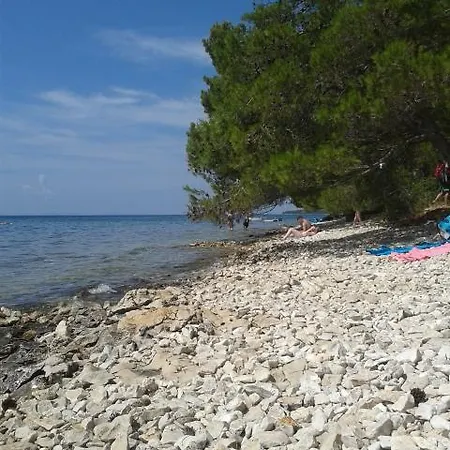 Dantin * Kožino